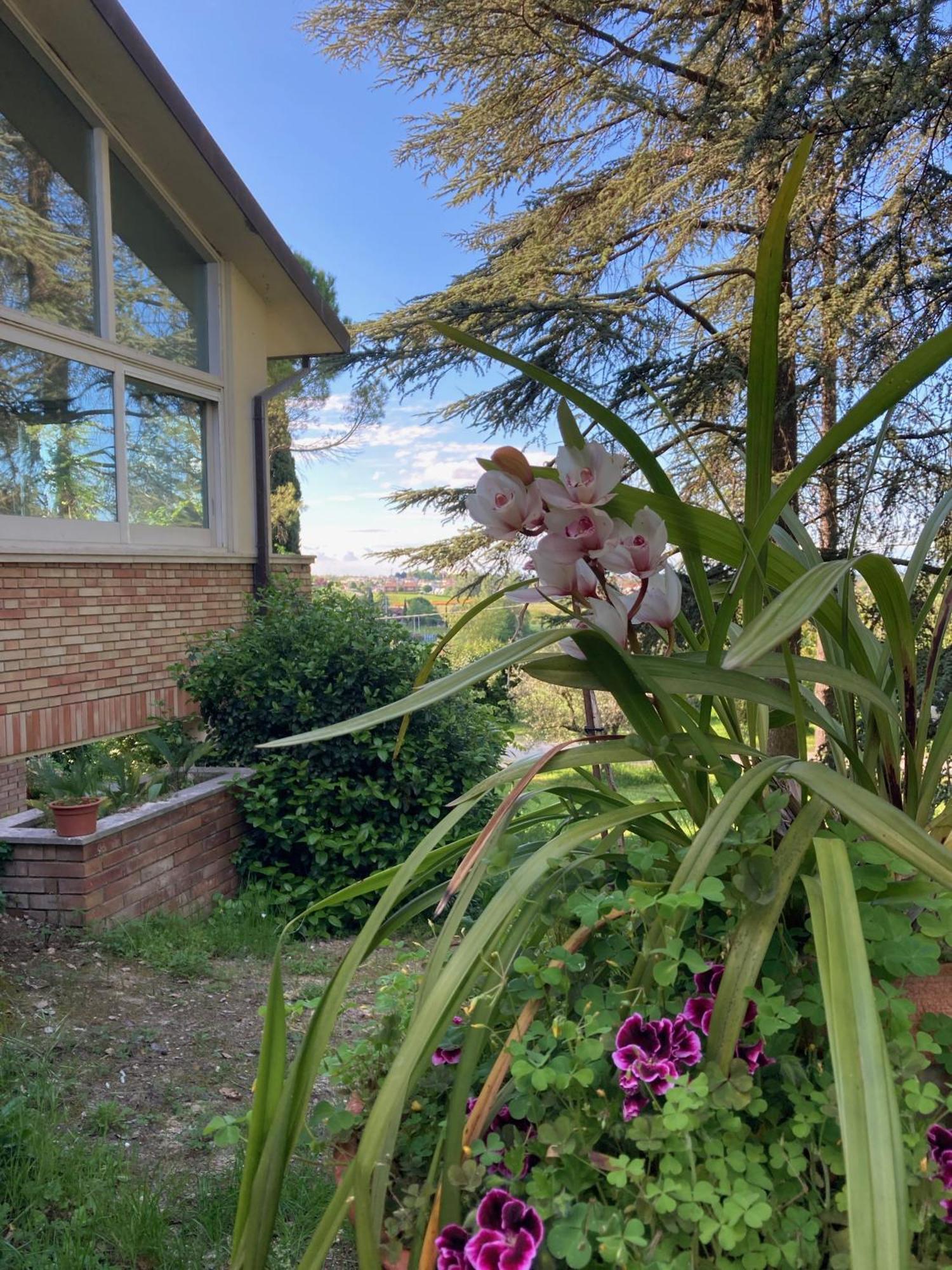 B&B Mama Ro Cesena Exterior foto